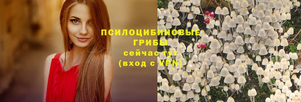 Альфа ПВП Краснослободск