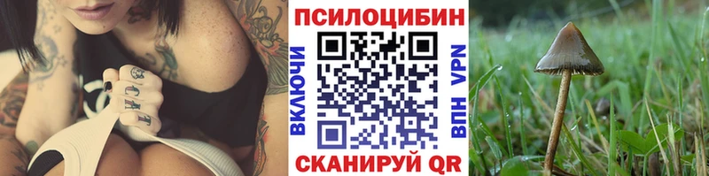 Галлюциногенные грибы Psilocybine cubensis  Липецк 